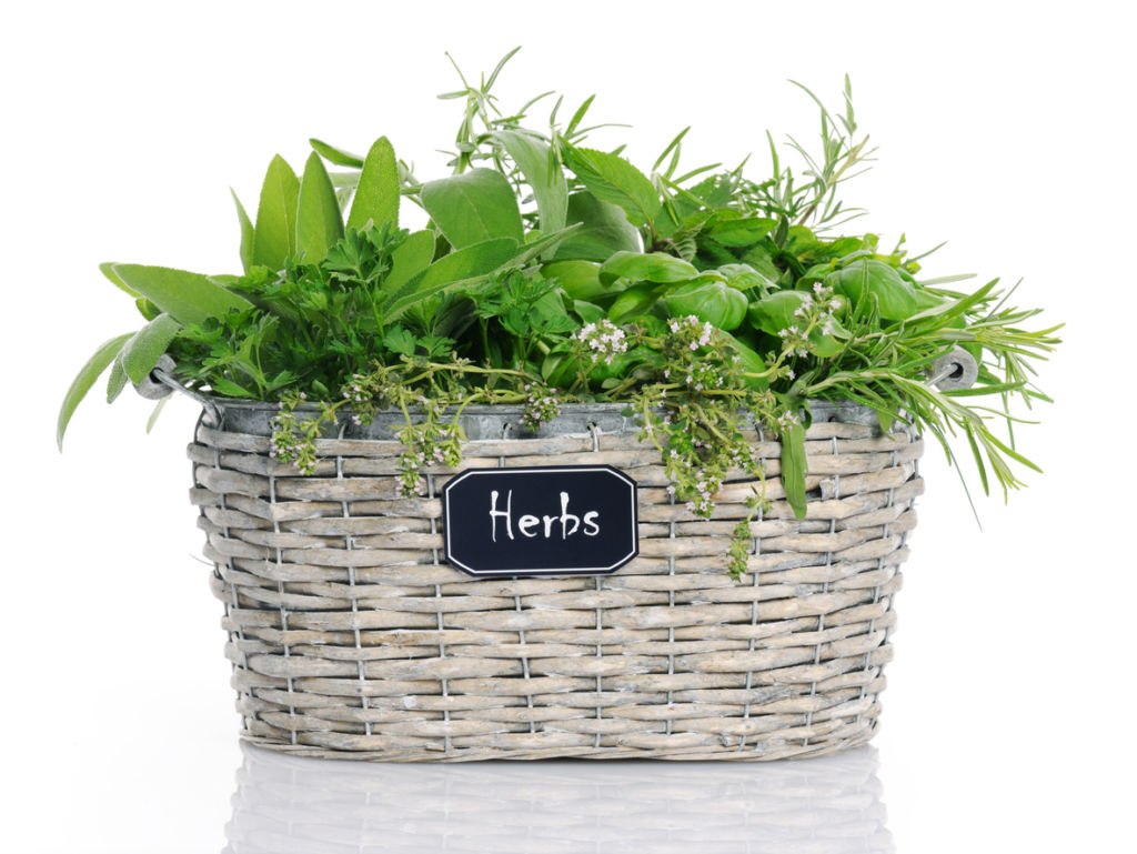 https://chinburg.com/wp-content/uploads/2021/03/basket-with-herbs-501061611_1184x889-1024x769.jpeg