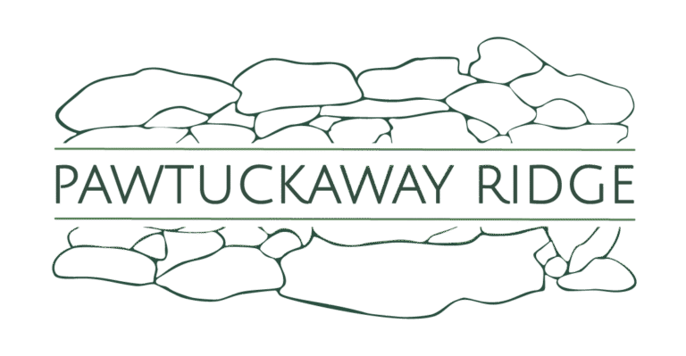 Pawtuckaway Ridge